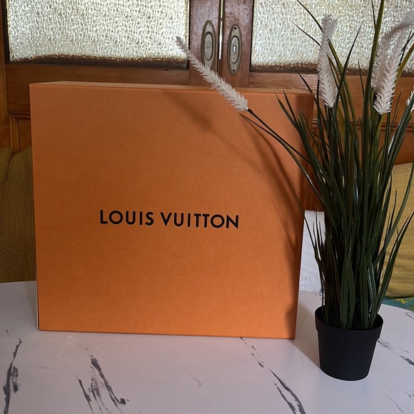 Authentic Louis Vuitton bag and box ( big) - Picture 3 of 3